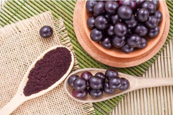 สารสกัดจากอาซาอิเบอร์รี่ ACAI Berry Extract