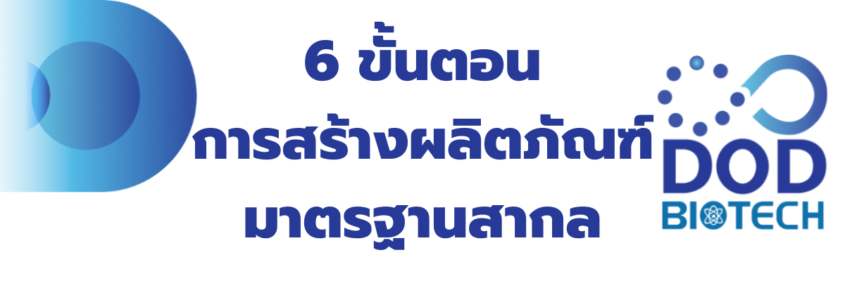 6 ขั้นตอน การสร้างผลิตภัณฑ์ (1)