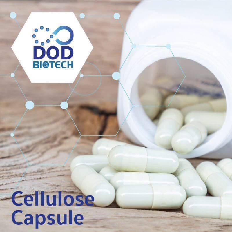 Capsule
