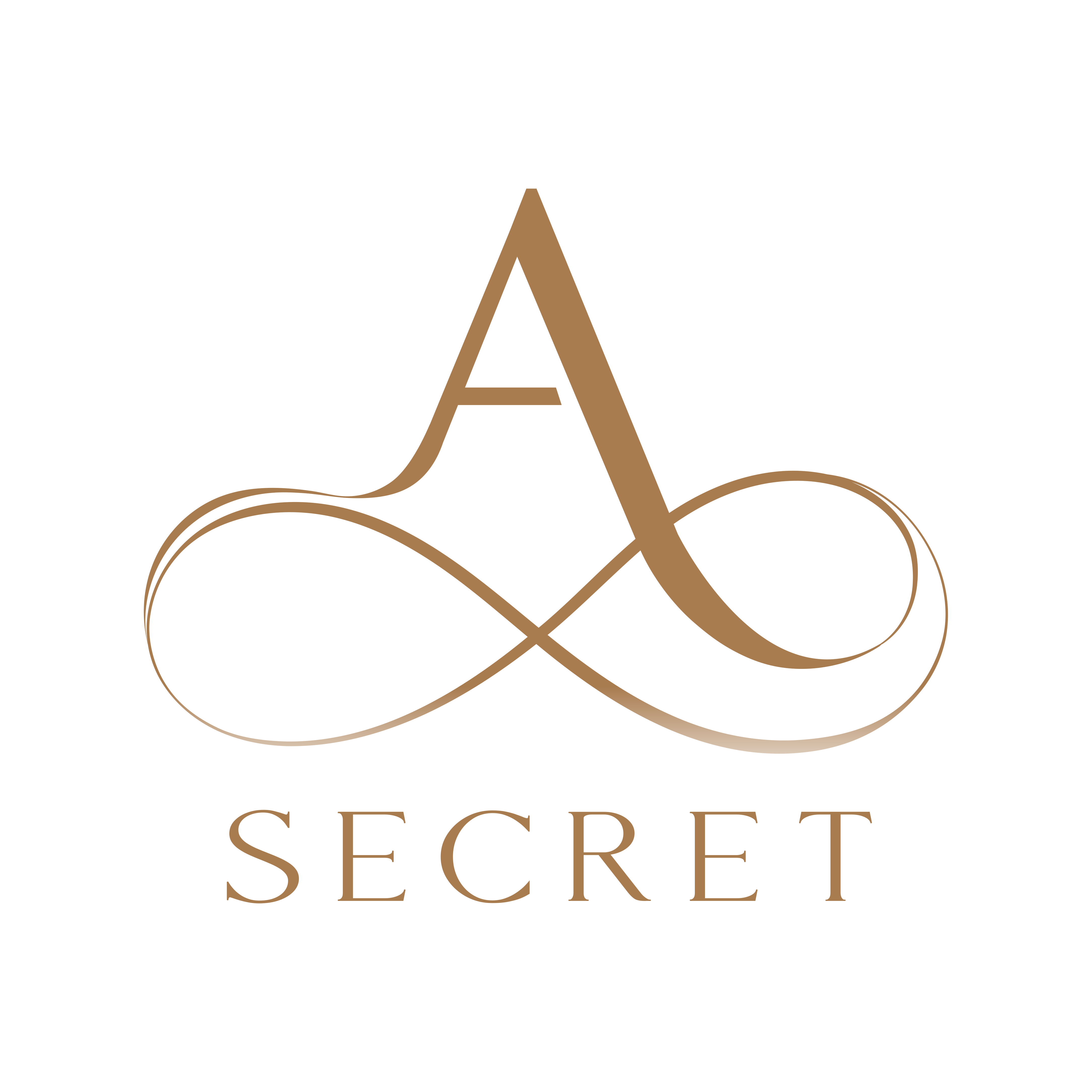 Logo-A-Secret